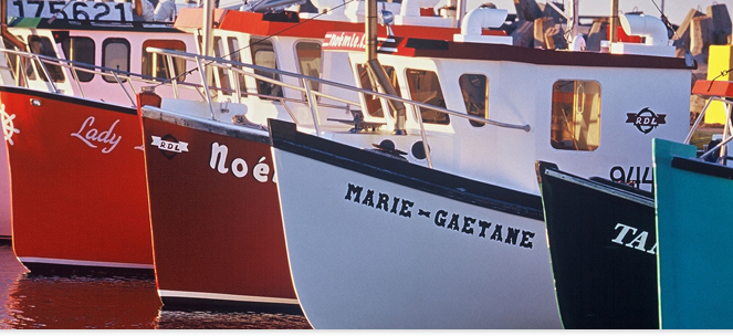 Bateaux Terre-neuve